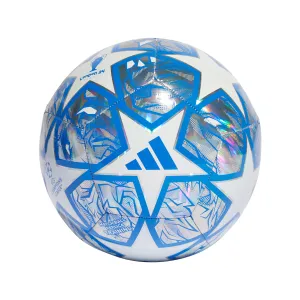 2024 UEFA Champions League Training Foil Ball