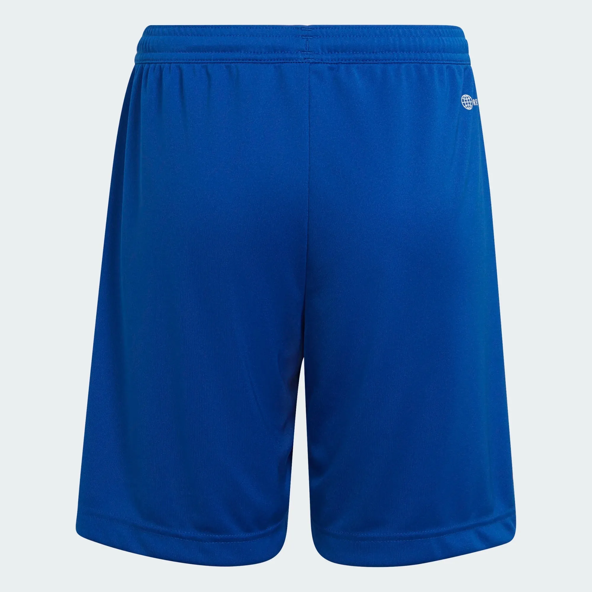 Adidas Entrada 22 Junior Shorts