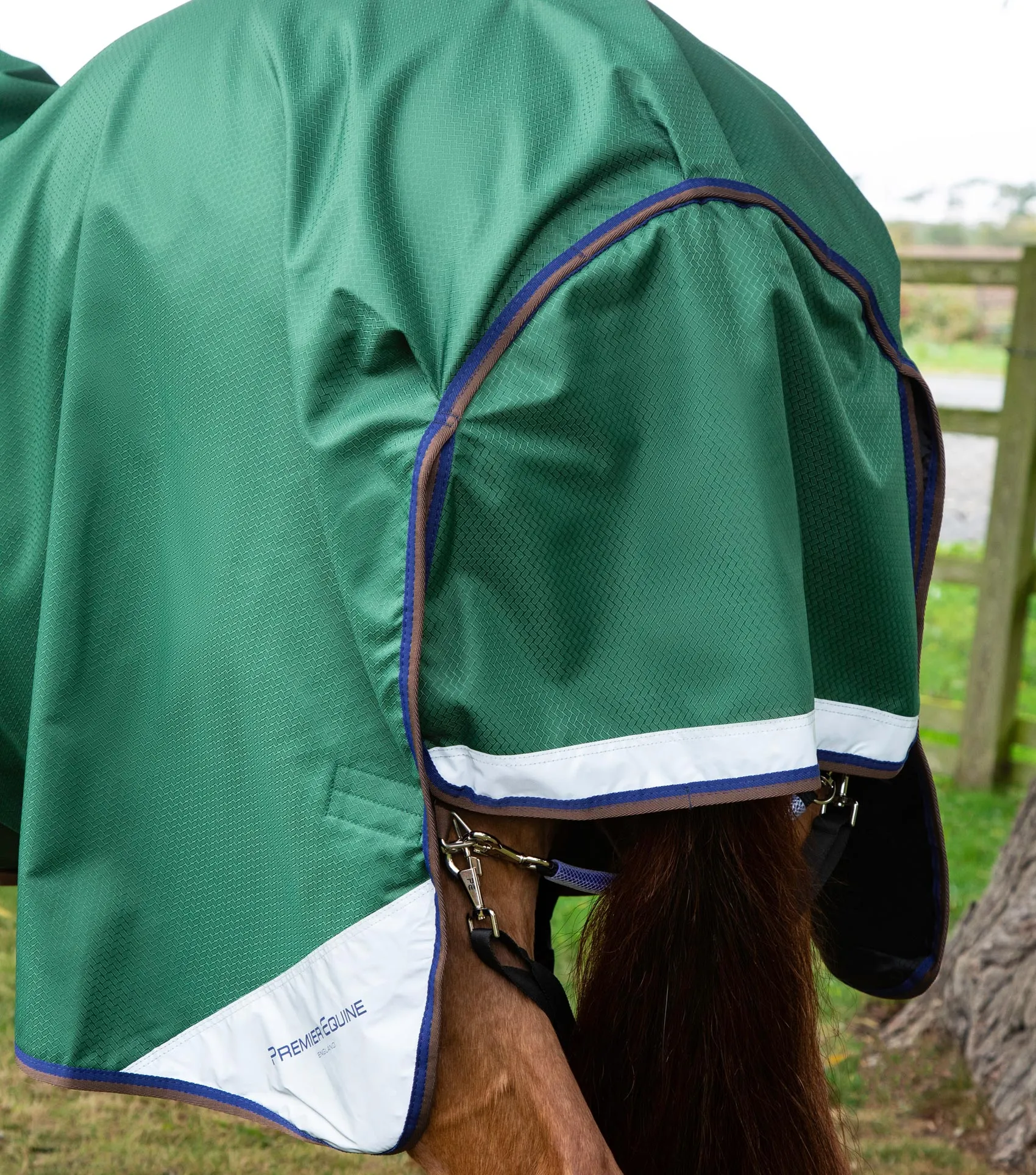 Akoni 0g Turnout Rug with Classic Neck Cover Green