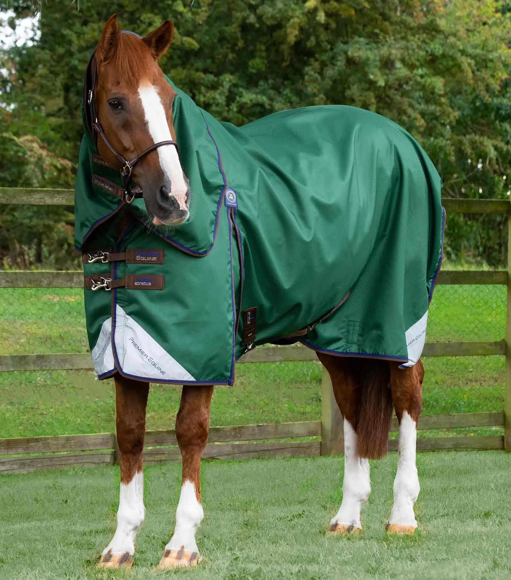 Akoni 0g Turnout Rug with Classic Neck Cover Green