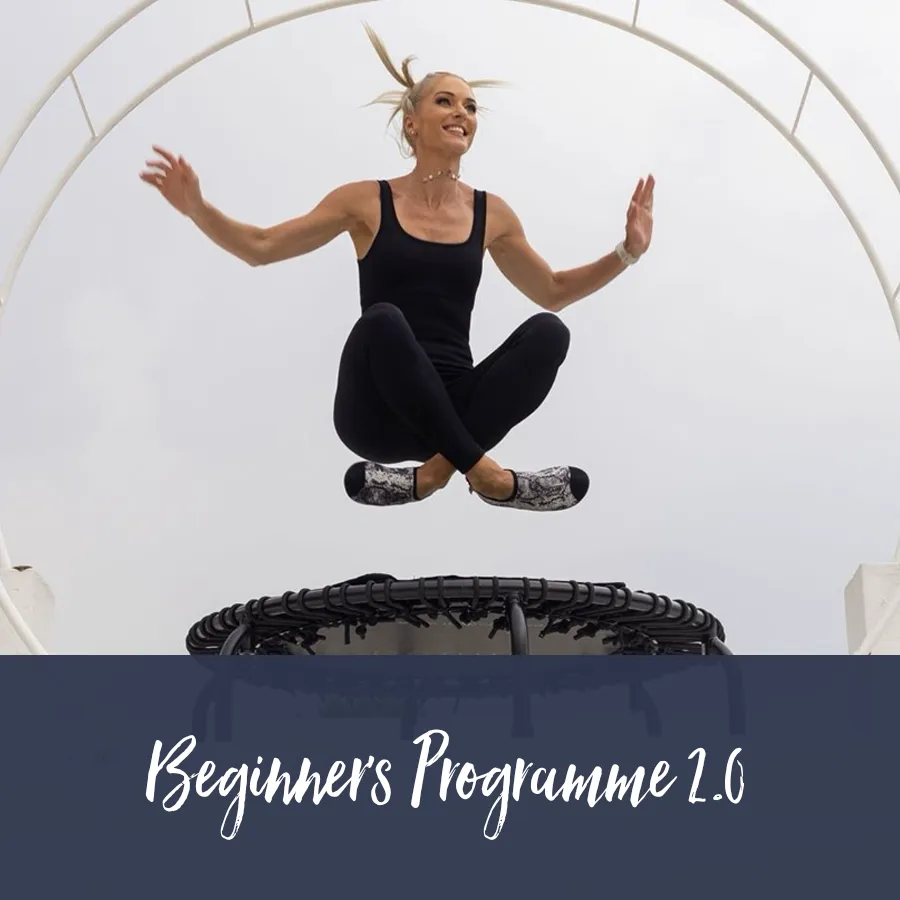 Beginner's Programme 2.0