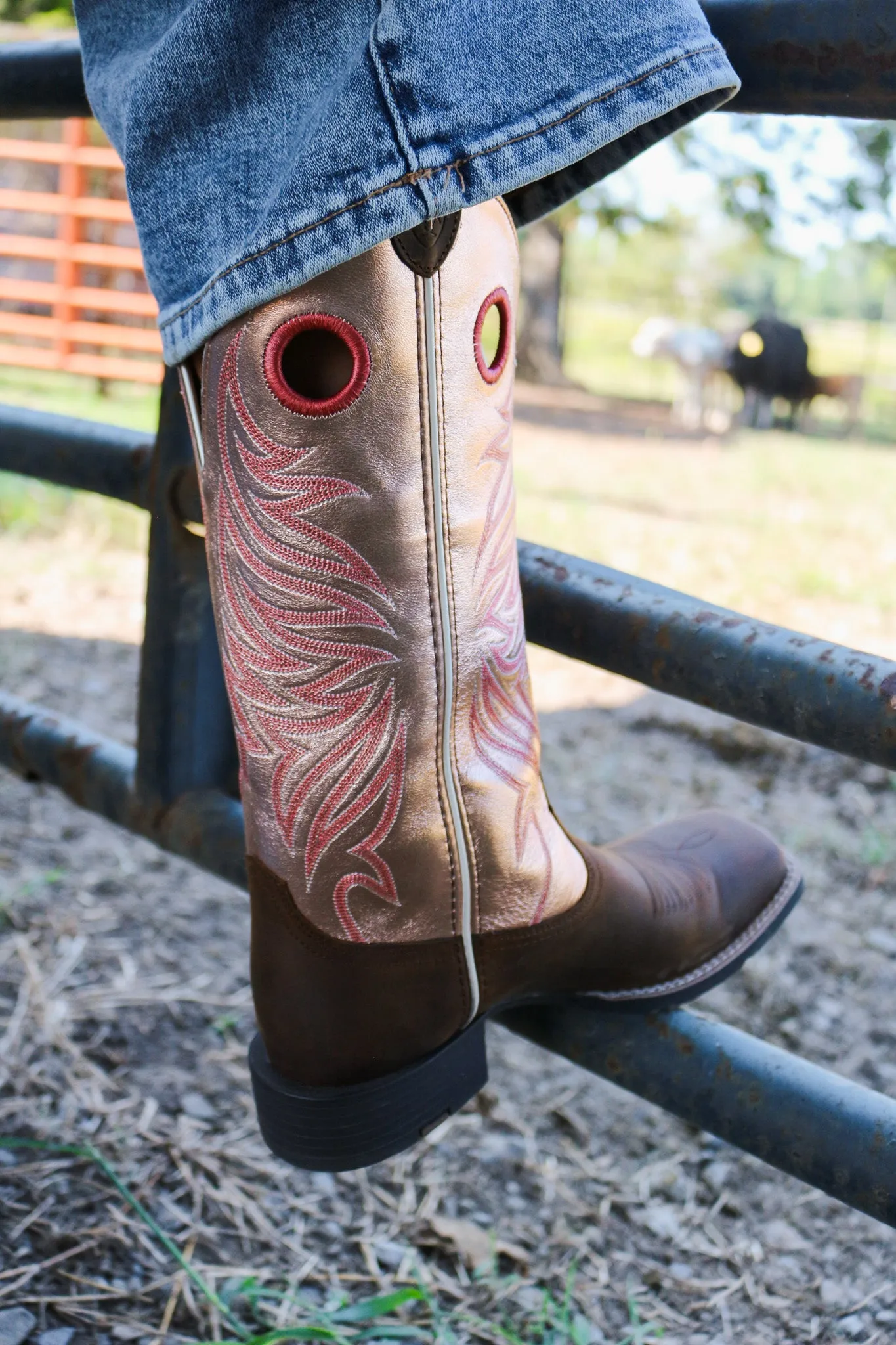 Brown Pink Round Up Ryder Western Ariat Boot