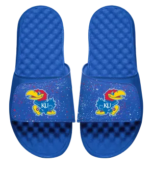 Kansas Primary Speckle Slides