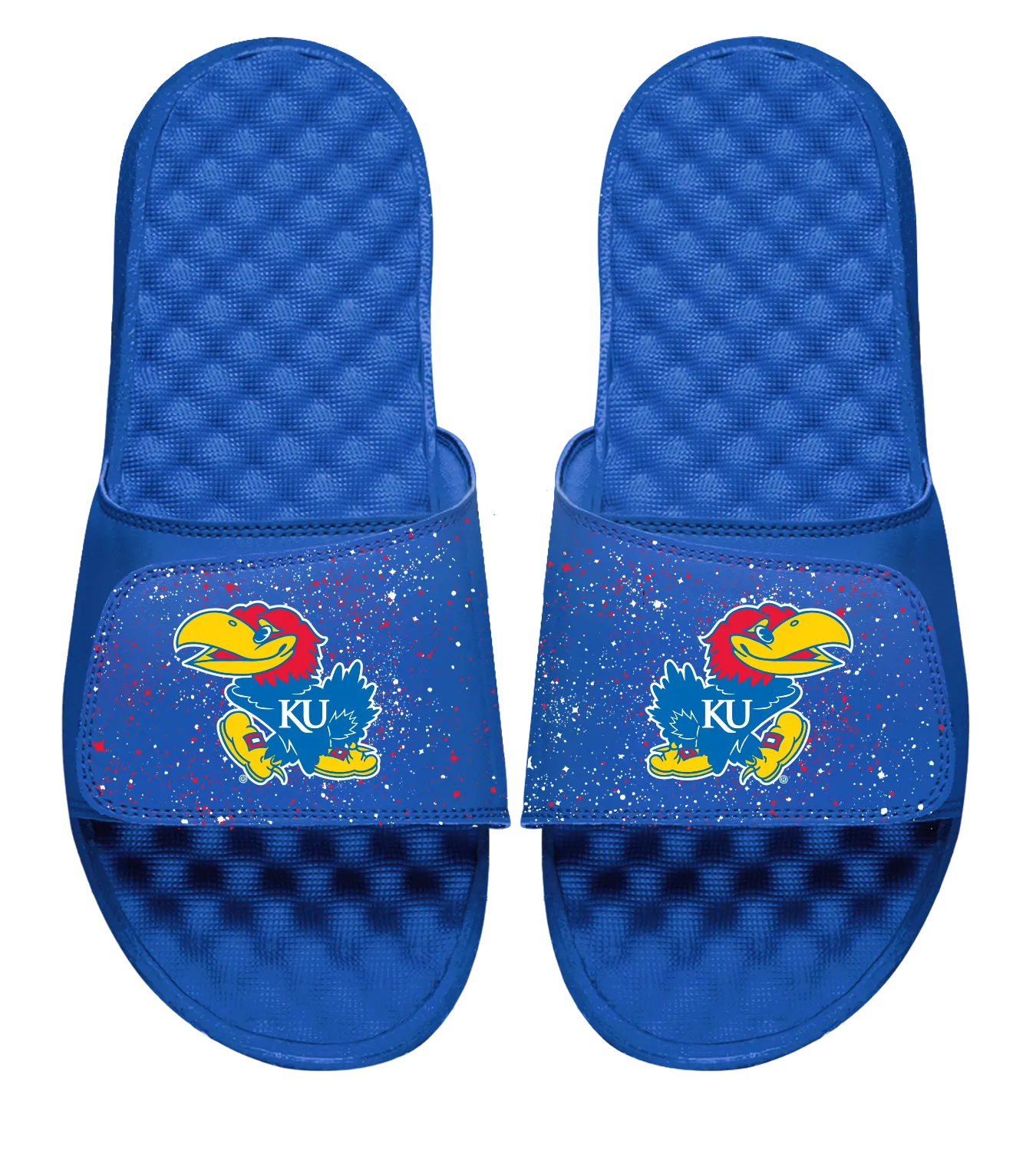 Kansas Primary Speckle Slides