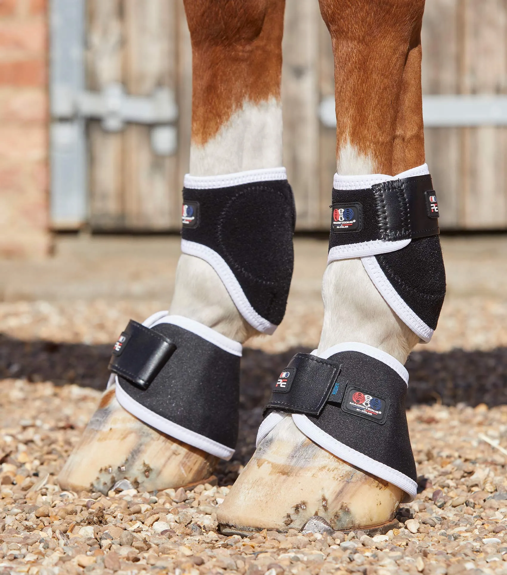 Magni-Teque Magnetic Hoof Boots