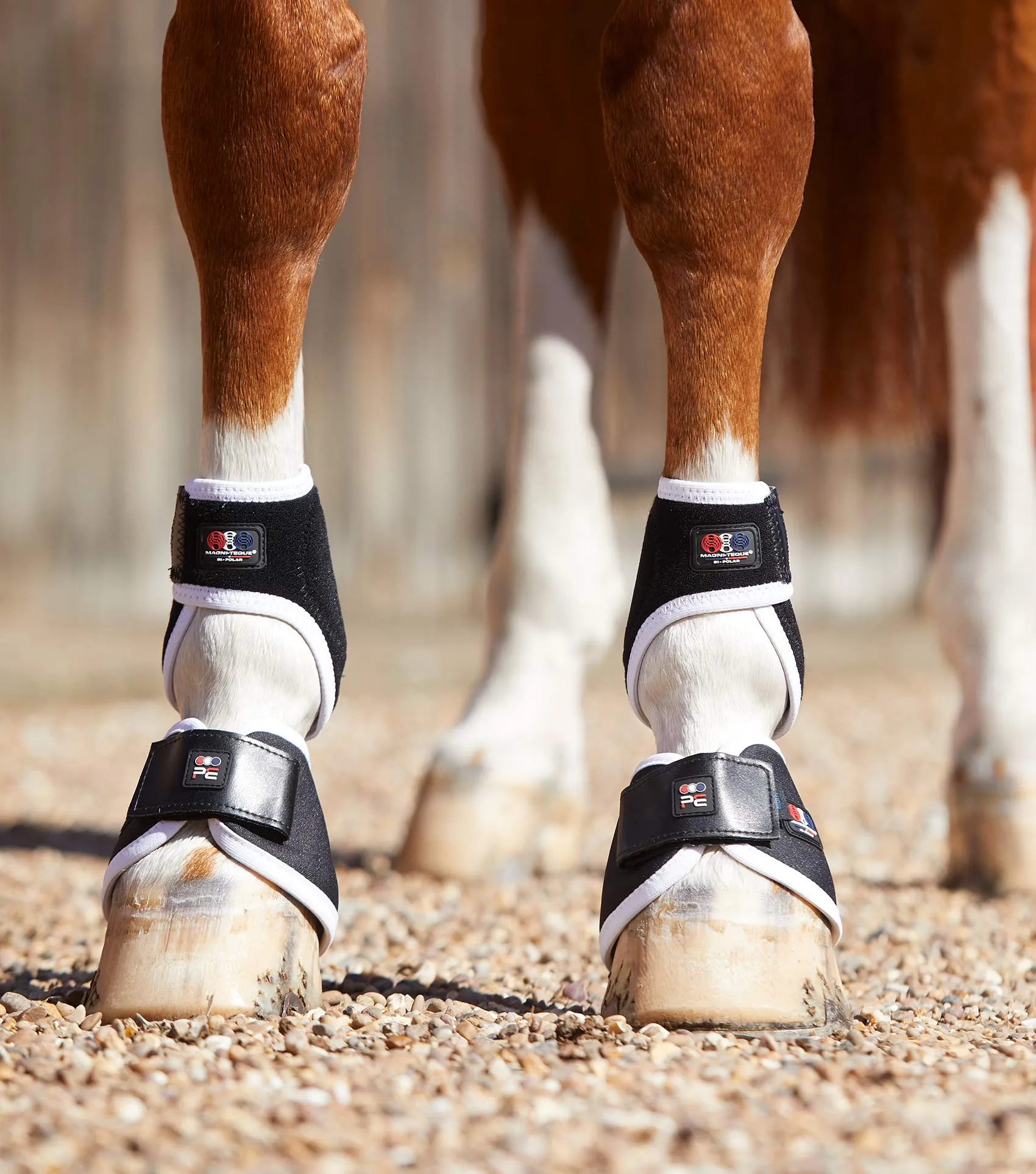 Magni-Teque Magnetic Hoof Boots