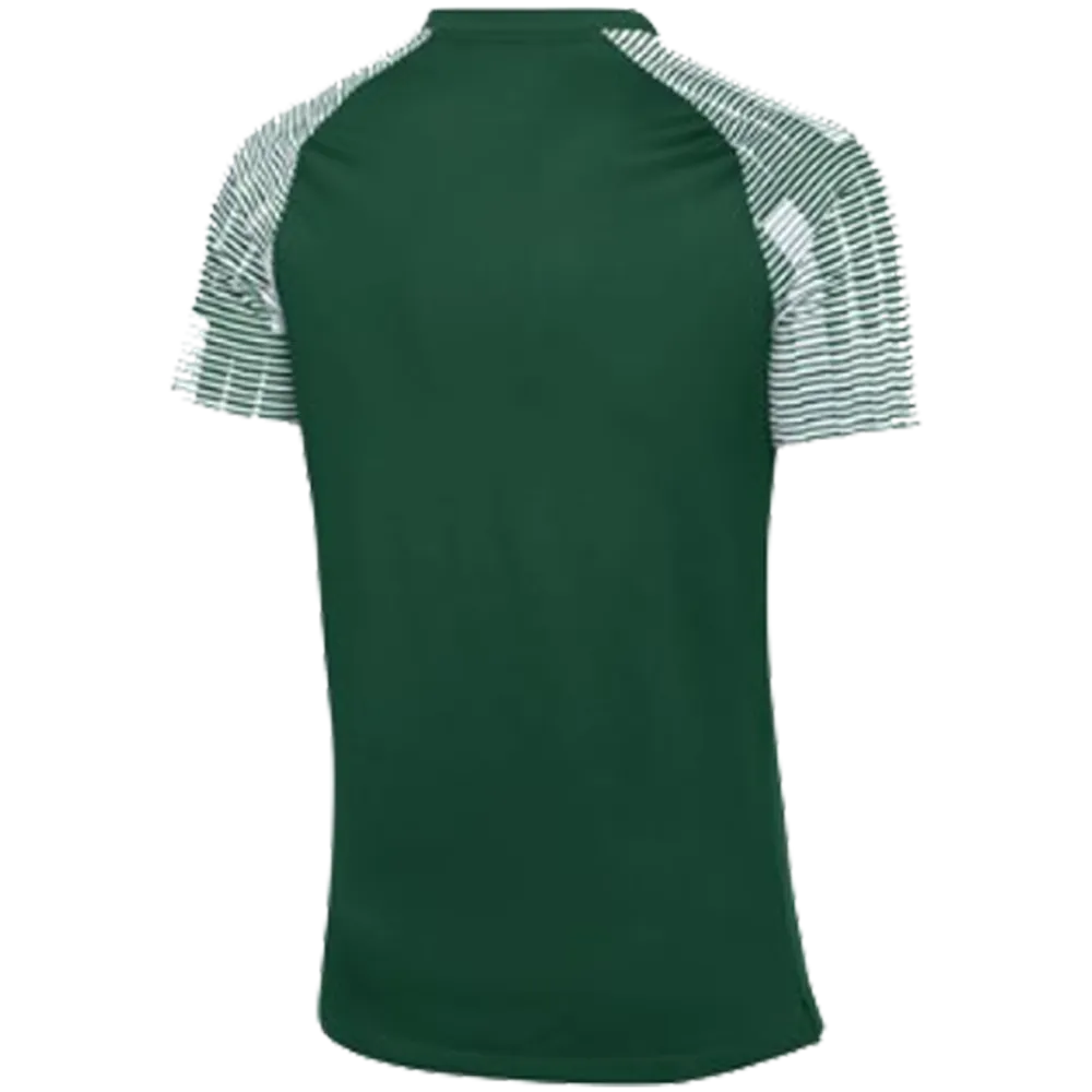 Nike Men's Dri-Fit US SS Academy Jersey