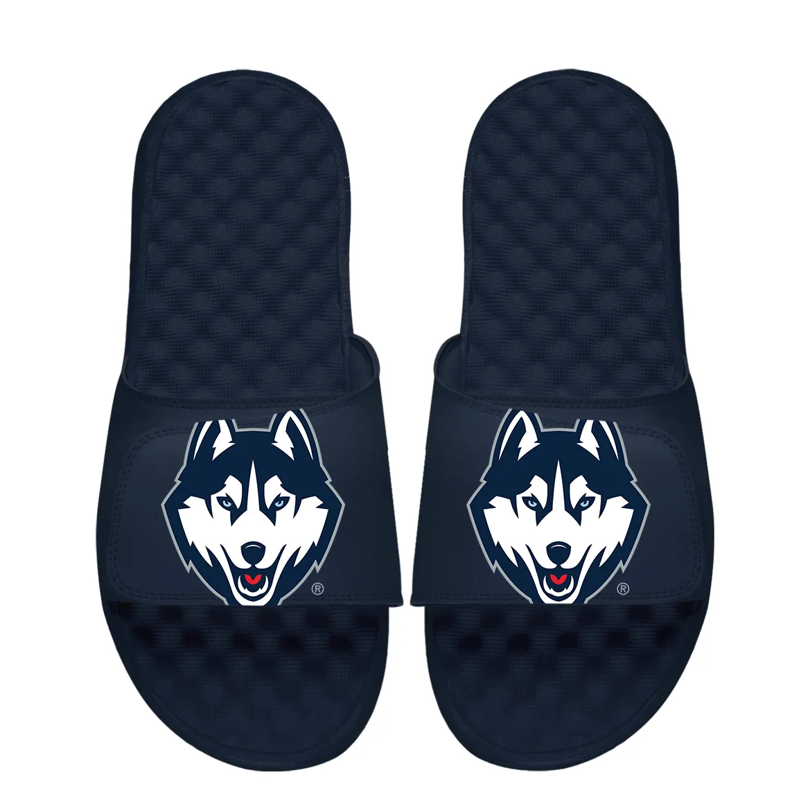 UConn Huskies Oversized Logo