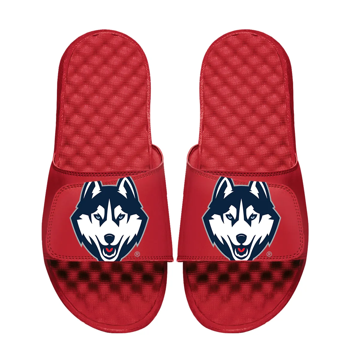 UConn Huskies Oversized Logo