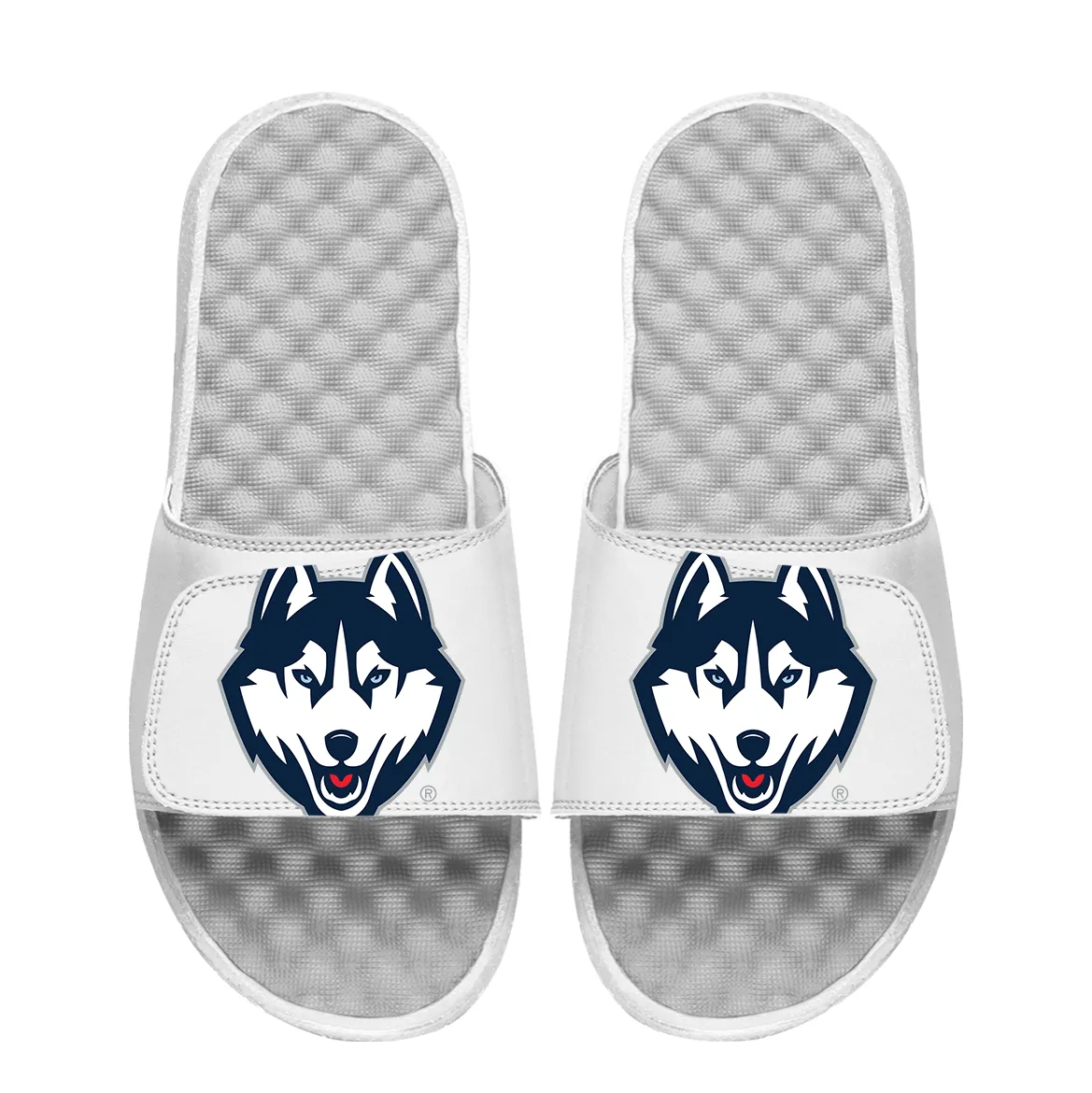 UConn Huskies Oversized Logo